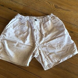 CHUBBIES Mint Green Shorts L
